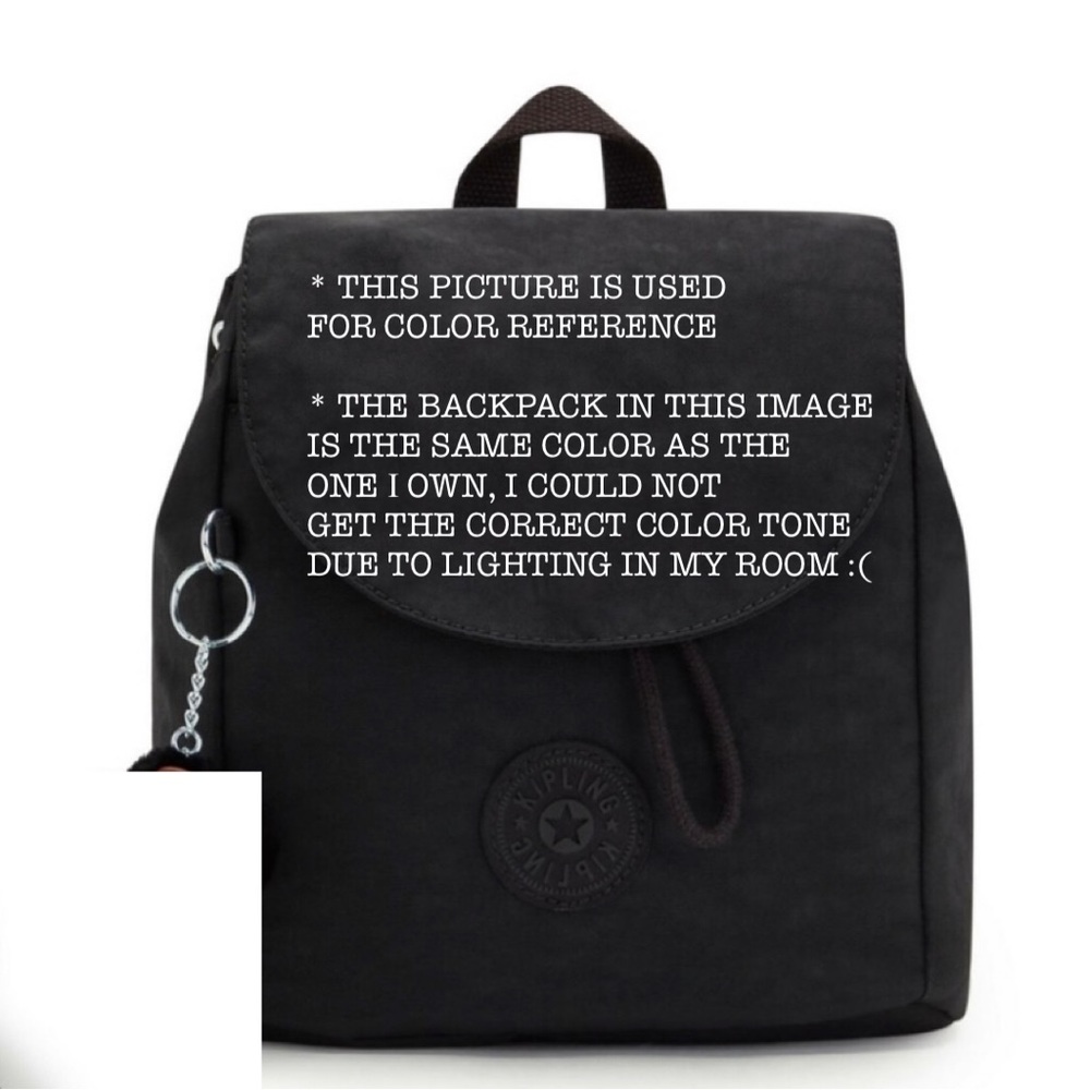 Kipling Mini Backpack - image 5